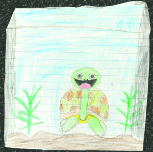 A cartoon drawing of a western pond turtle.